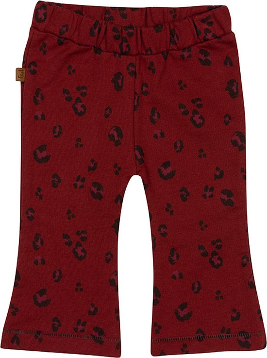 Frogs and Dogs - Wild About You Flair Pants - - Maat 74 -