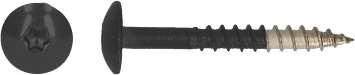 PGB-FASTENERS | HPL schroef Tx20 4,8x38 R9017 A4