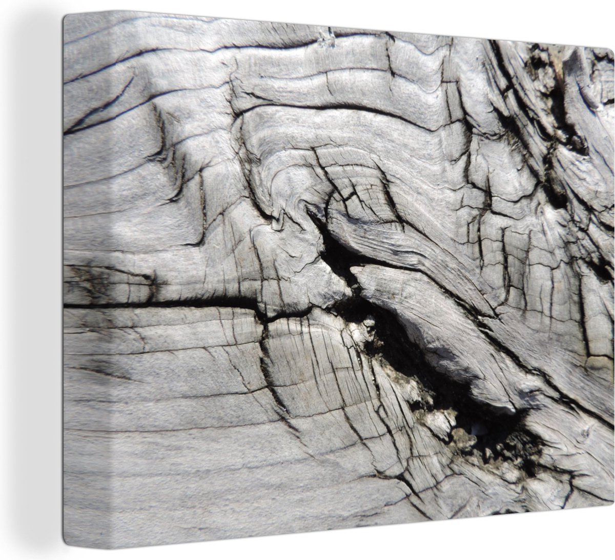 Canvas Schilderij Nerf - Wit - Hout - Boomstam - 80x60 cm - Wanddecoratie