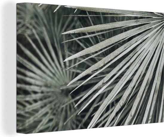 Canvas Schilderij Bladeren - Groen - Palm - Wanddecoratie