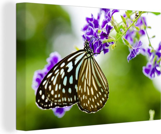 Canvas Schilderij Lavendel - Vlinder - Botanisch - 120x80 cm - Wanddecoratie