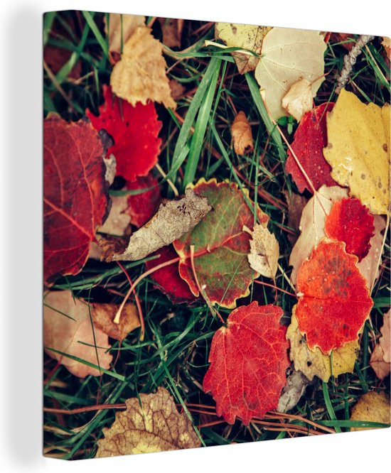 Canvas Schilderij Bladeren - November - Herfst - Natuur - 50x50 cm - Wanddecoratie