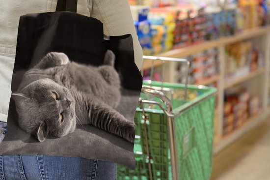 MuchoWow® Schoudertas - Strandtas - Big Shopper - Boodschappentas - Dier - Poes - Grijs - 45x45 cm - Katoenen tas