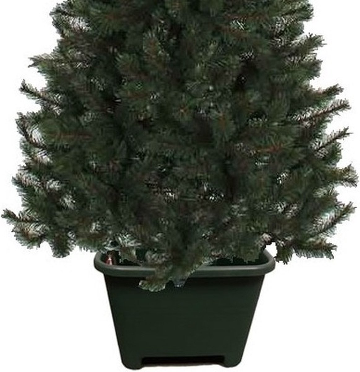 Vierkante groene kerstboom standaard voor een Blauwspar kerstboom