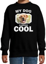 Labrador retriever honden trui / sweater my dog is serious cool zwart - kinderen - Labradors liefhebber cadeau sweaters - kinderkleding / kleding 152/164
