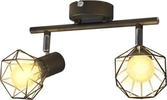 vidaXL Lamp industrieel met 2 LED's zwart | bol.com