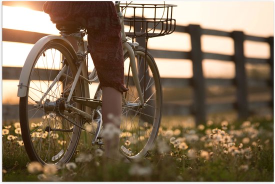 WallClassics - Poster (Mat) - Fietser door Bloemenveld - 75x50 cm Foto op Posterpapier met een Matte look