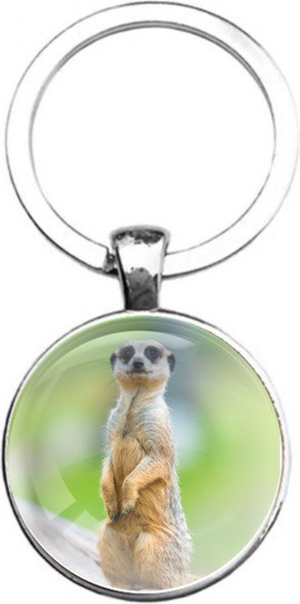 Sleutelhanger Glas - Stokstaartje