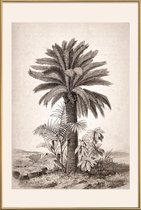 JUNIQE - Poster met kunststof lijst Sago Palm -40x60 /Grijs & Ivoor