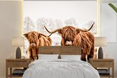 Behang - Fotobehang Schotse hooglander - Koe - Dieren - Breedte 220 cm x hoogte 220 cm
