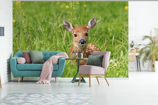Papier peint photo peint photo vinyle - Jeune cerf couché dans l'herbe largeur 330 cm x hauteur 220 cm - Tirage photo sur papier peint (disponible en 7 tailles)