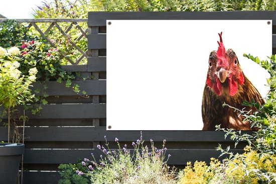 Affiche de jardin gros plan coq 120x80 cm - Toile de jardin / Toile d'extérieur / Peintures d'extérieur (décoration de jardin)