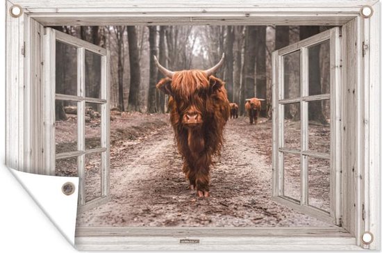 Een open raam met uitzicht op een Schotse hooglander die op een bosweg loopt, met twee andere hooglanders op de achtergrond.