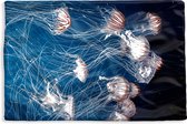 Kussenhoes 60x40 cm - Zeedieren - Kwal - Water - Katoen / Polyester - Voor Binnen