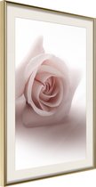 Poster Subtle Flower 40x60