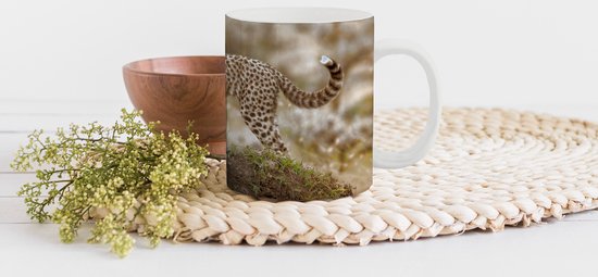Tasse - Tasse à café - Léopard - Jeune - Nature - Tasses - 350 ML - Tasse - Tasses à café - Tasse à thé - Décoration Sinterklaas - Cadeaux pour enfants - Cadeaux chaussures Sinterklaas