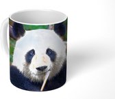 Mok - Koffiemok - Panda - Bamboe - Natuur - Mokken - 350 ML - Beker - Koffiemokken - Theemok