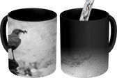 Magische Mok - Foto op Warmte Mok - Waterspreeuw met voedsel bij opspattend water - zwart wit - 350 ML