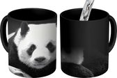 Magische Mok - Foto op Warmte Mokken - Koffiemok - Panda - Zwart - Wit - Magic Mok - Beker - 350 ML - Theemok