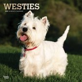 West Highland White Terrier Kalender 2022