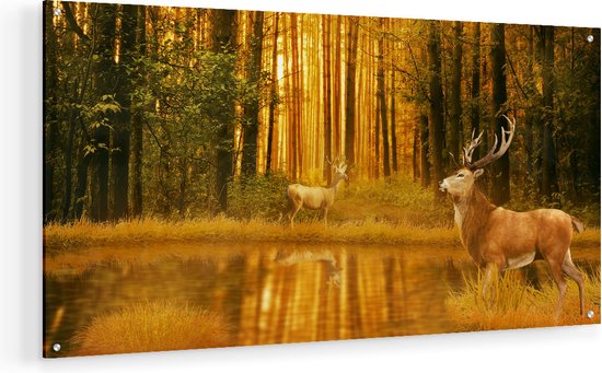 Artaza Glasschilderij - Twee Herten In Het Bos Bij Het Water - 80x40 - Plexiglas Schilderij - Foto op Glas