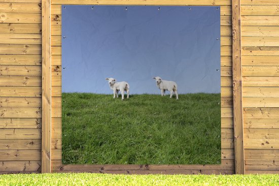 Tuinposter 200x200 cm - Tuindecoratie Twee lammetjes die zich op een grasdijk bevinden - Poster voor in de tuin - Buiten decoratie - Schutting tuinschilderij - Tuindoek muurdecoratie - Wanddecoratie balkondoek