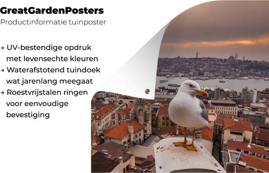 Posters de jardin Seagull - Istanbul - Architecture - 50x50 cm