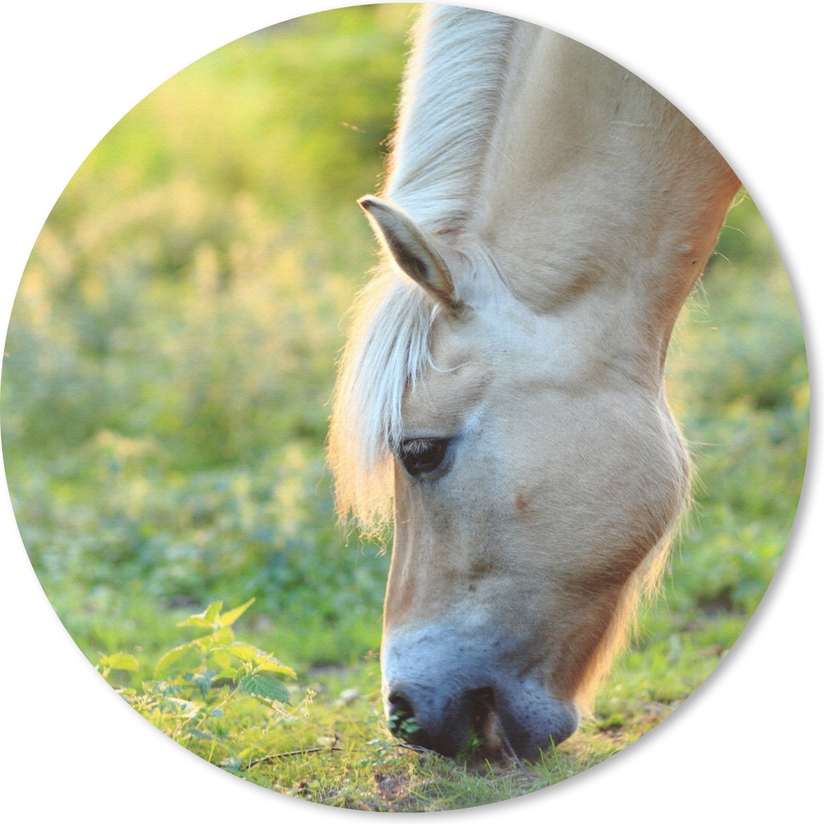 Muismat rond 20x20 cm - Mousepad Grazend fjord paard op een zomerse dag - Ronde muismatten