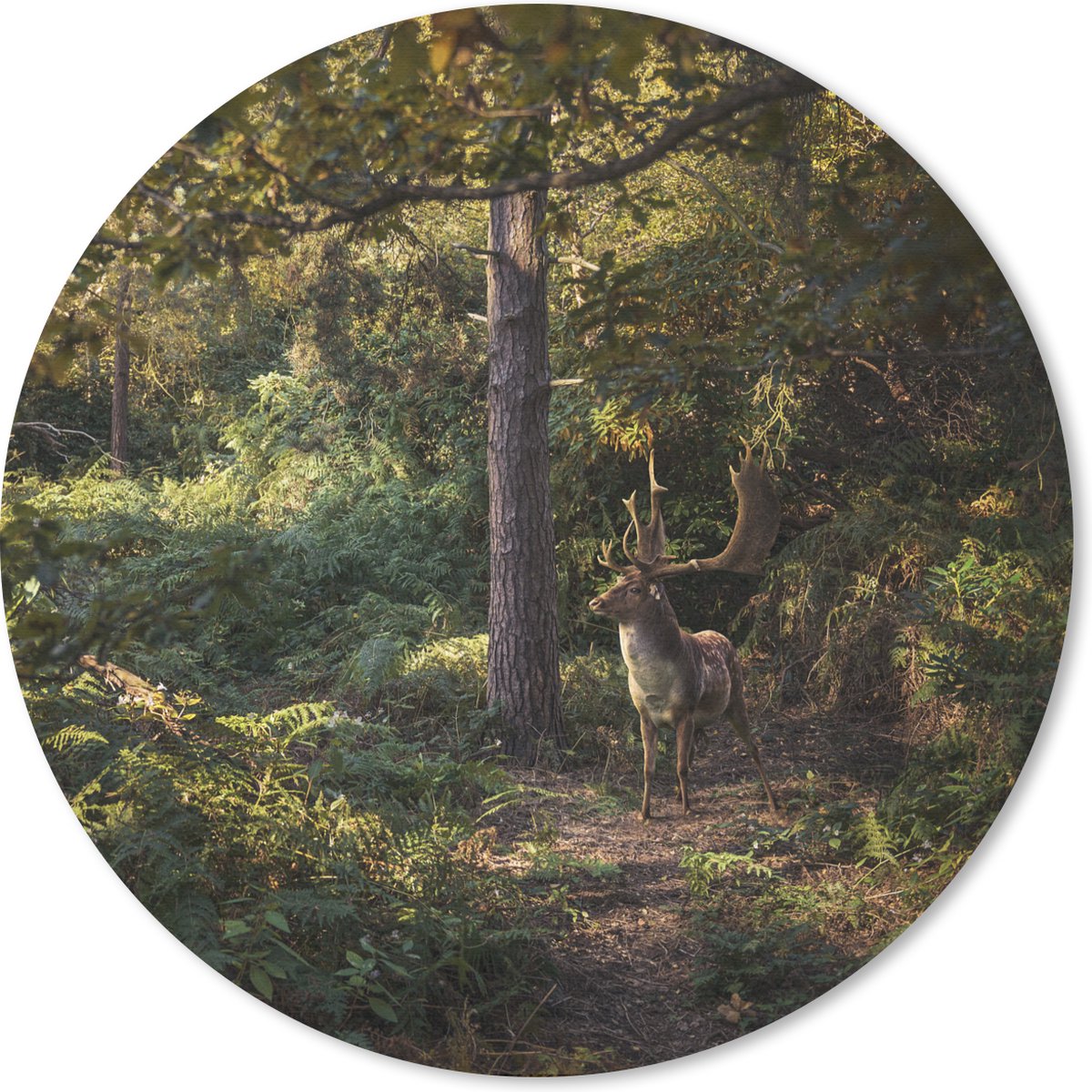 Muismat rond 40x40 cm - Mousepad Hert - Gewei - Bos - Herfst - Ronde muismatten