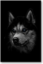 Siberische husky met blauwe ogen - 60x90 Forex Staand - Dieren