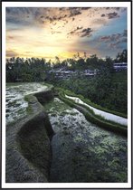 Poster van rijstvelden op Bali met schemer - 20x30 cm