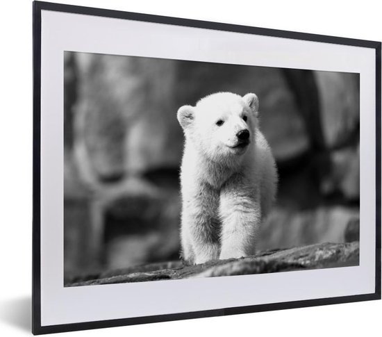 Fotolijst incl. Poster Zwart Wit- Een baby ijsbeer - zwart wit - 40x30 cm - Posterlijst