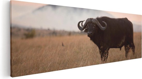 Artaza - Canvas Schilderij - Buffel in het Gras - Foto Op Canvas - Canvas Print
