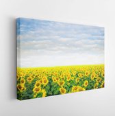 Canvas schilderij - Sun flowers field in Thailand. sunflowers -     348112751 - 115*75 Horizontal