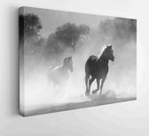 Canvas schilderij -  Productnummer   52500 - 80*60 Horizontal