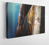 Canvas schilderij -  Productnummer   918271 - 40*30 Horizontal