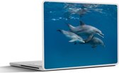 Laptop sticker - 13.3 inch - Dolfijnen - Zee - Blauw - 31x22,5cm - Laptopstickers - Laptop skin - Cover