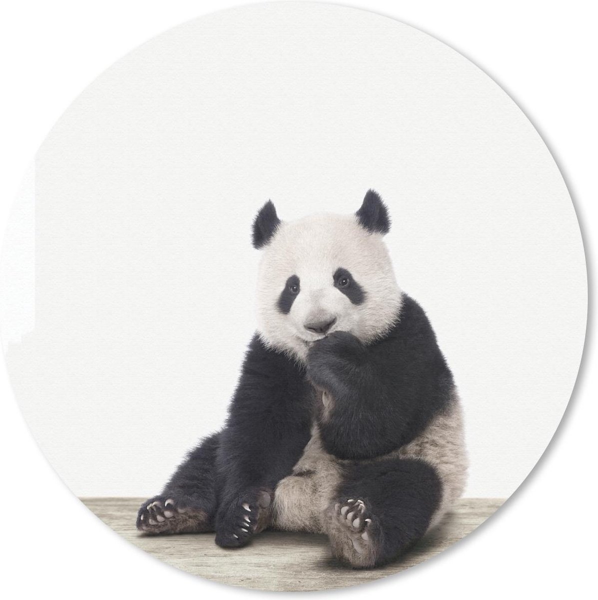 Muismat - Mousepad - Rond - Dieren - Panda - Zwart - Wit - 50x50 cm - Ronde muismat