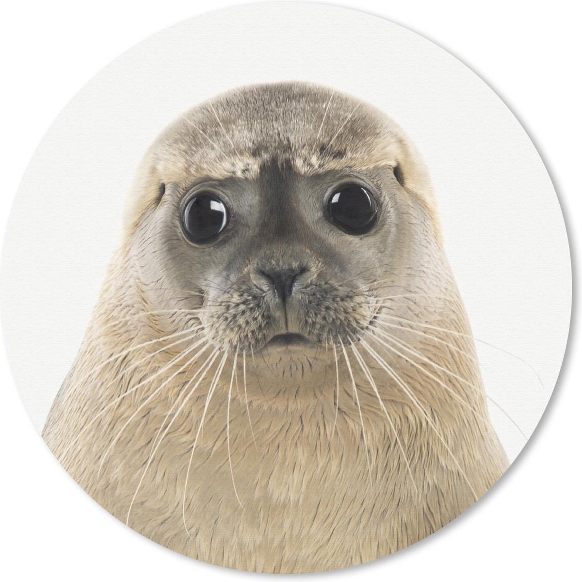 Muismat rond 40x40 cm - Mousepad Zeehond - Beige - Dieren - Ronde muismatten