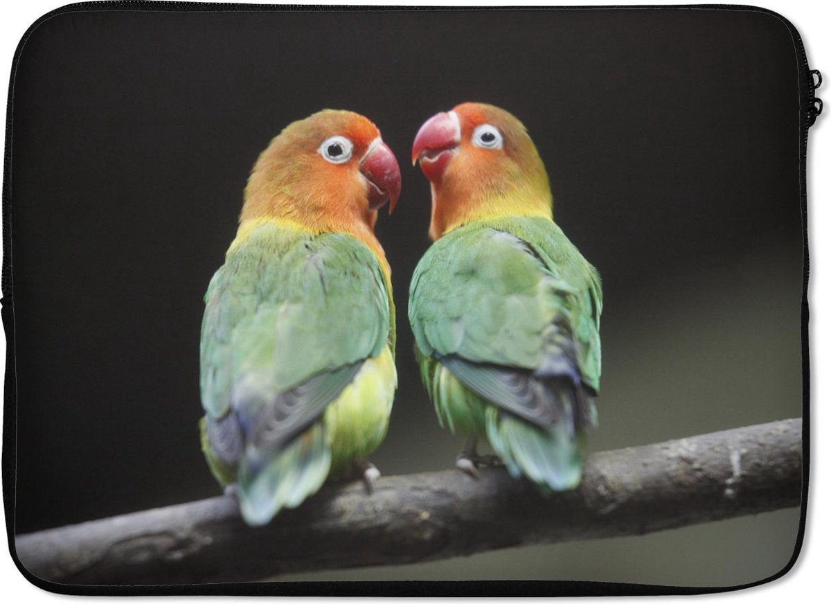Laptophoes 14 inch - Lovebirds papegaaitjes fotoprint - Laptop sleeve - Binnenmaat 34x23,5 cm