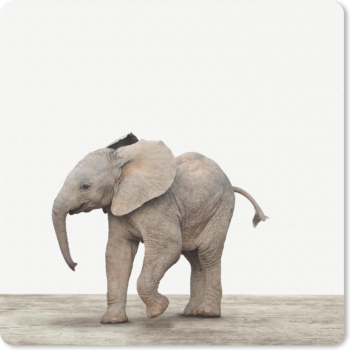 Muismat 20x20 cm - Mousepad Dieren - Grijs - Olifant - Muismatten