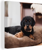 Canvas Schilderij Rottweiler pup ligt op een zacht kussen - 90x90 cm - Wanddecoratie