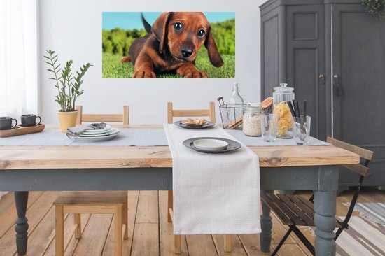Poster Beau ciel au-dessus d'un adorable chiot Teckel - 120x60 cm