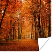 Poster Een bos met herfstachtige kleuren - 100x100 cm XXL