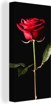 Canvas Schilderij Een rode roos op een zwarte achtergrond - 20x40 cm - Wanddecoratie