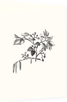 Els zwart-wit (Leaf of Alder) - Foto op Dibond - 30 x 40 cm