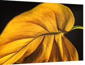 Geel blad - Foto op Dibond - 90 x 60 cm