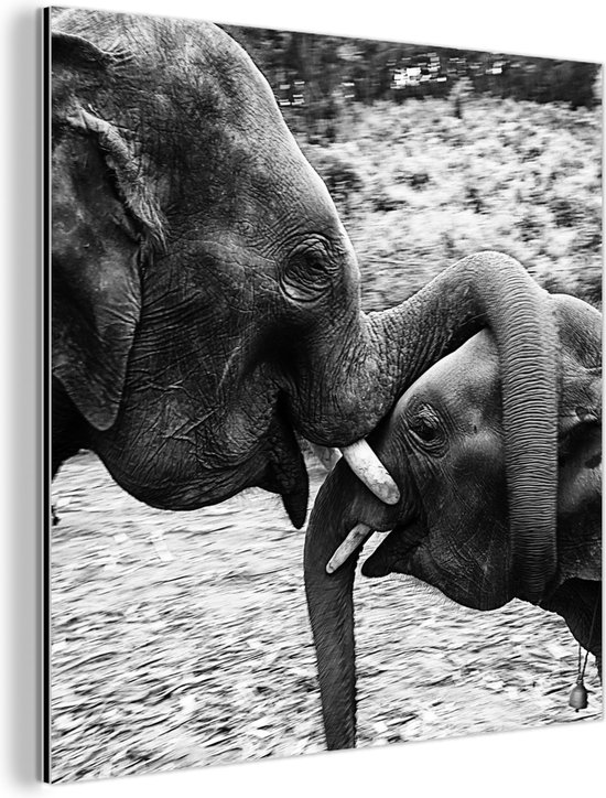 Wanddecoratie Metaal - Aluminium Schilderij - Knuffelende olifanten in zwart-wit