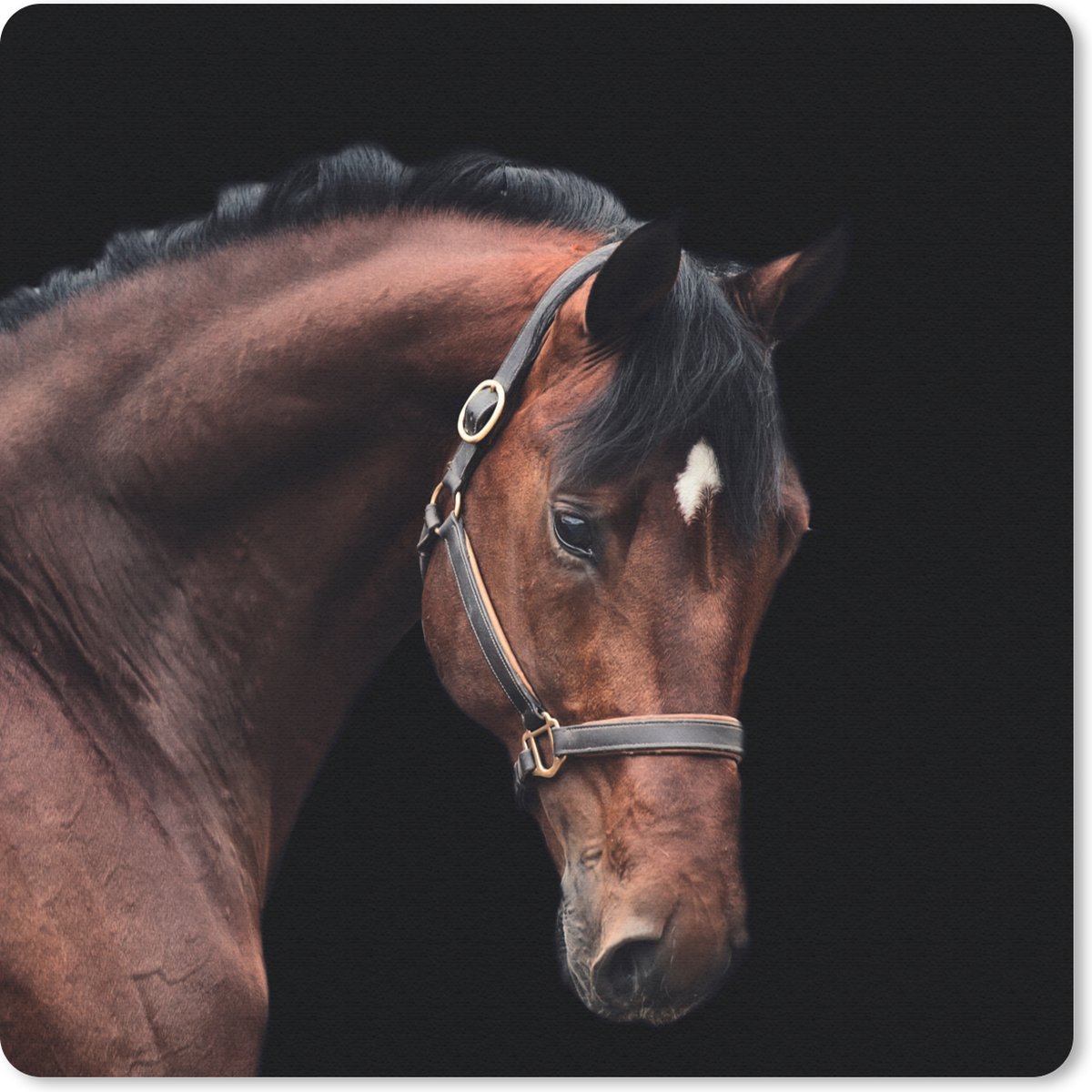 Muismat 30x30 cm - Mousepad Paard - Halster - Bruin - Muismatten