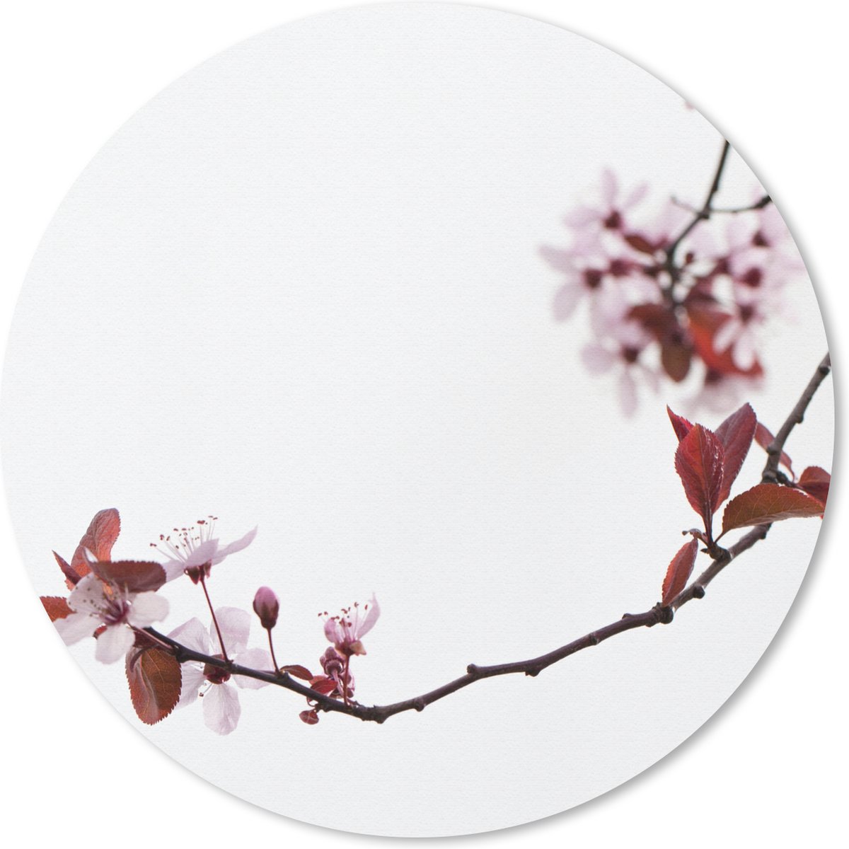 Muismat rond 20x20 cm - Mousepad Bloemen - Bloesem - Kersenboom - Ronde muismatten